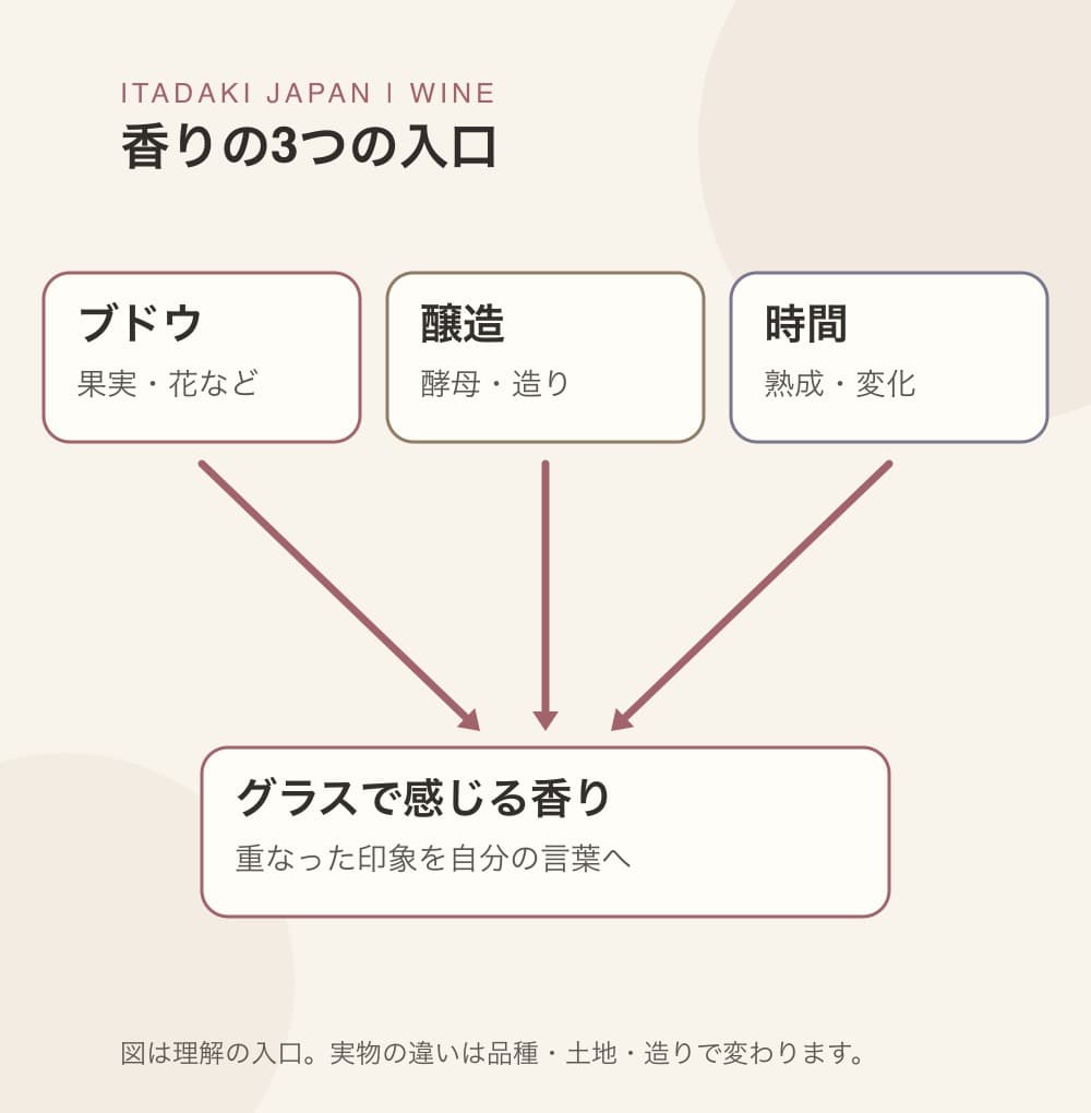 ブドウと畑、発酵と醸造、熟成と時間という香りの3つの入口を示す概念図